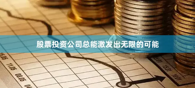 股票投资公司总能激发出无限的可能