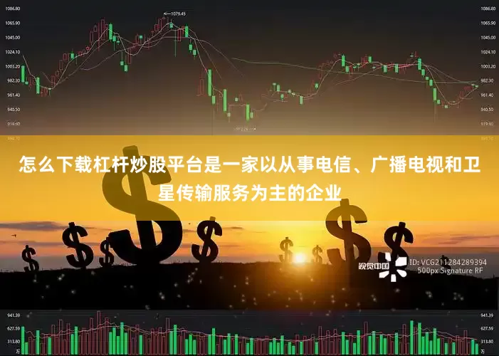 怎么下载杠杆炒股平台是一家以从事电信、广播电视和卫星传输服务为主的企业