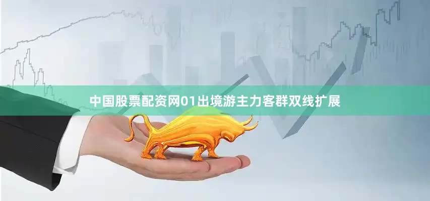 中国股票配资网01出境游主力客群双线扩展
