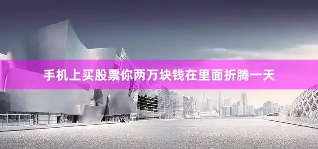 手机上买股票你两万块钱在里面折腾一天