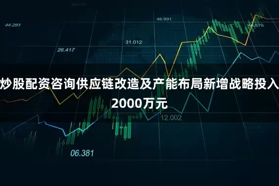 炒股配资咨询供应链改造及产能布局新增战略投入2000万元